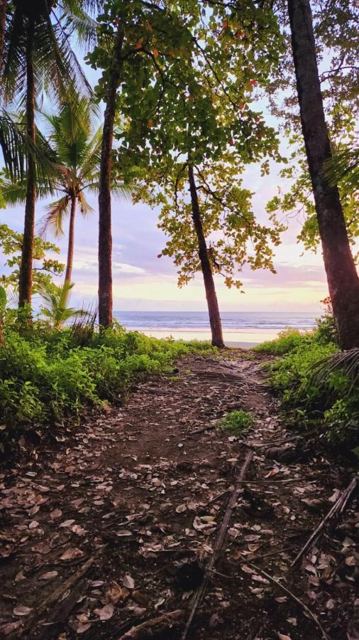 Uvita River Guesthouse المظهر الخارجي الصورة