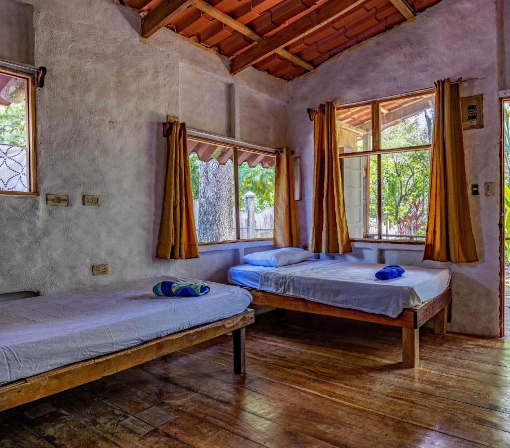 Uvita River Guesthouse المظهر الخارجي الصورة